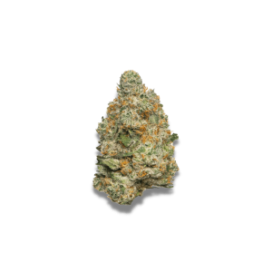 Apple Fritter Autoflower by Growers Choice – Good for outdoor grow – Super Strength – Large yield – image 1 – Seed City