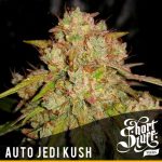 Auto Jedi Kush cannabisfrø – Kaffe – Female seeds – Afslappende – billede 1 fra Seed City