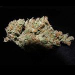 Auto Zombie Haze from Sumo Seeds