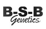 BSB Genetics Logo