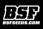 BSF Seeds logo