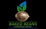 Baked Beans Cannabis Seeds Logo
