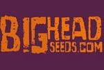 Big Head Seeds logo