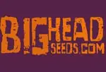 Big Head Seeds logo