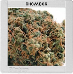 Blimburn America – Chemdog #4