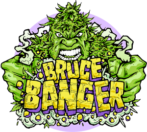 Bruce Banger Fast