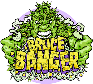 Bruce Banger Fast