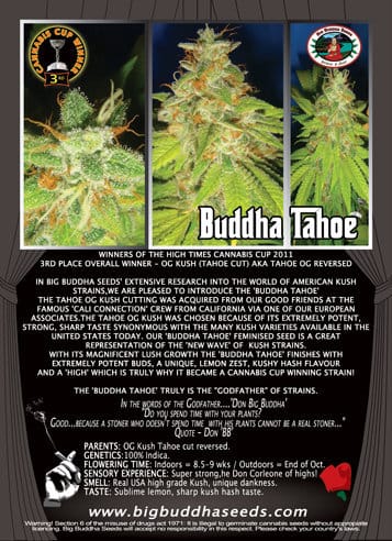 Buddha Tahoe by Big Buddha Seeds – Feminized – Indica-heavy – Citrus – image 3 – Seed City