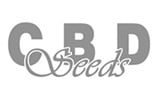 CBD Seeds Logo