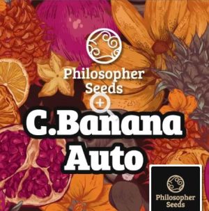 CBanana Auto