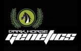 Dark Horse Genetics Logo