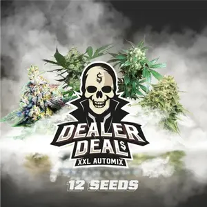 Dealer Deal XXL Automix