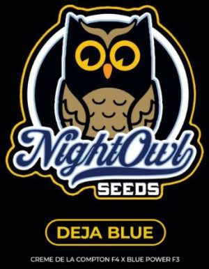 Herbal – Auto-Flowering – General Pain – Deja Blue strain – image 1 – from Night Owl Seeds via Seed City