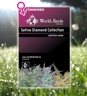 Diamond Sativa Feminised Collection