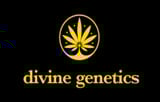 Divine Genetics Logo