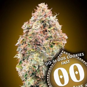 DoSiDos Cookies FAST