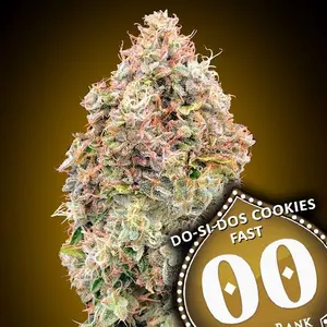 DoSiDos Cookies FAST