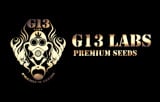 G13 Labs Logo