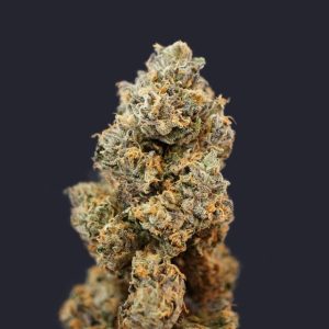 Gelato 33 x French Cookies a.k.a. French Macaron