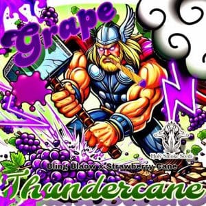 Grape ThunderCane