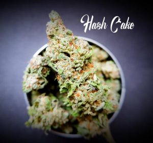 Hash Cake