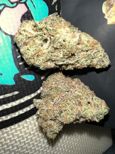 Dawg Fartz Auto from ElevenThirty Genetics