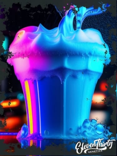 Blue Zlushi cannabis seeds – Indoor-friendly – The End of September – Feminized – image 5 from Seed City