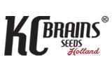KC Brains Logo