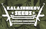Kalashnikov Seeds Logo