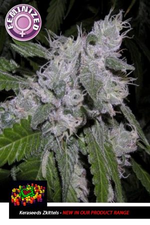 Kera California – Zkittels