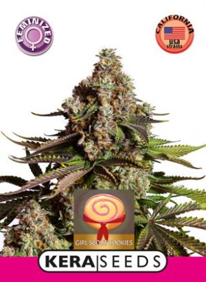 Kera California – Girl Scout Cookies
