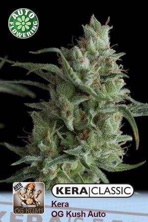 Kera Classic Auto – OG Kush Auto