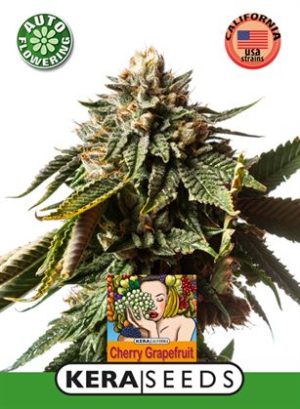 Kera Classic Auto – Cherry Grapefruit Auto