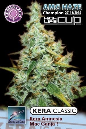 Kera Classic – Amnesia Mac Ganja!