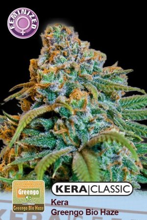 Kera Classic – Greengo Bio Haze