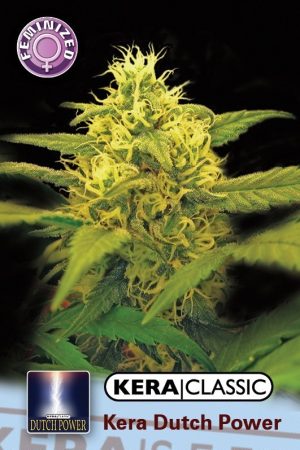 Kera Classic – Kera Dutch Power