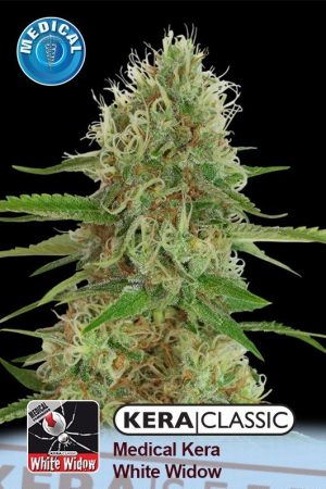 Kera Classic – Medical White Widow