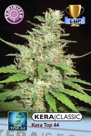 Kera Classic – Top 44