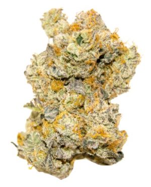 LIMITED EDITION White Truffle Auto by Growers Choice – Indica Dominant – Happy – Auto-Flowering – image 1 – Seed City