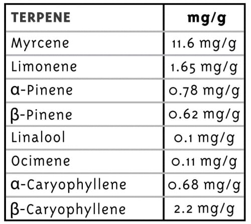 Lemongrass by Humboldt Seed Company – Uplifting – Super Strength – Regular – image 2 – Seed City