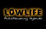 Lowlife Seeds Logo