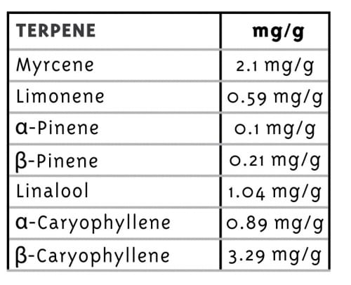 showing Melon – Indoor – Super Strength – image 1 – Seed City