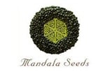 Mandala Seeds Logo