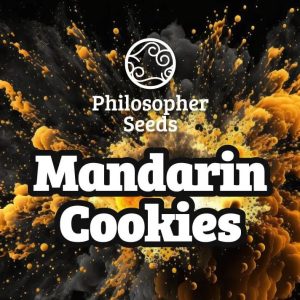 Manderin Cookies