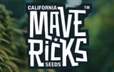 Mavericks Genetics Logo