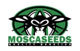 Mosca Seeds Logo
