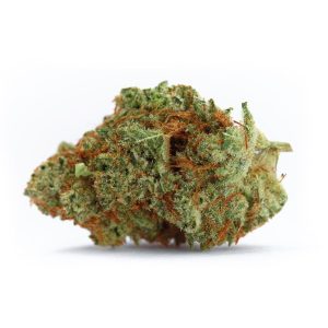 Naranja Biscotti FAST Version cannabis seeds – Super Strength – Indoor – Middle of September – image 1 from Seed City