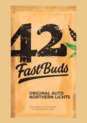 Original Auto Northern Lights