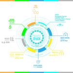 Pineapple Crack cannabis seeds – Sativa-leaning – Guaranteed female plants – 12/12 Photoperiod – image 2 from Seed City