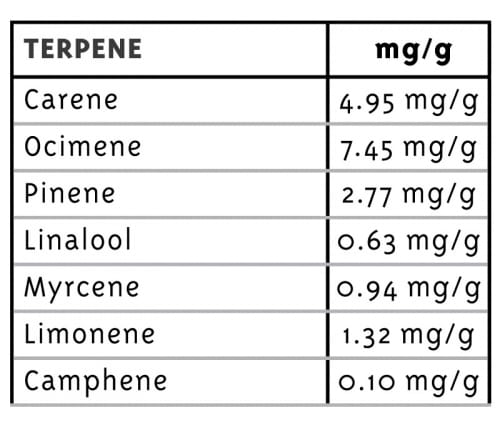 Pineapple Upside Down Cake by Humboldt Seed Company – Regular – Middle of September – Pineapple – image 2 – Seed City